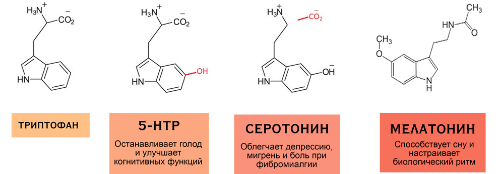 5-htp-power3.jpg