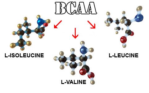 wirud-aminokisloty-bcaa.jpg